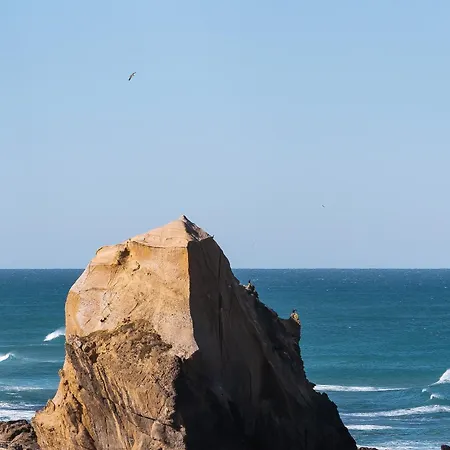 West Coast House - Santa Cruz (Oeste)